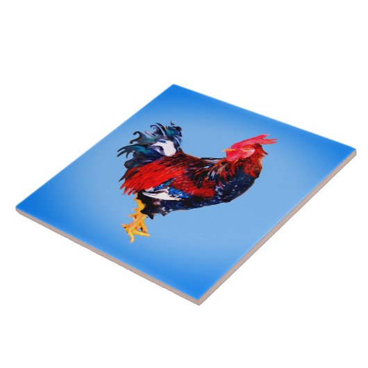 Carreau Gallinaceous (Côté)