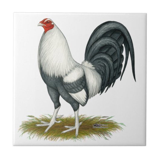 Carreau Gamecock Bleu d'argent du jeu américain (Devant)