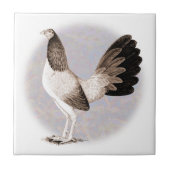 Carreau Gamecock : Hennie (Devant)