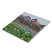 Carreau Gamme de tatouages et Fleurs sauvages | Mt. Rainie (Côté)