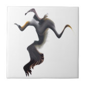 Carreau Gannets-Oiseau de mer Abstrait (Devant)