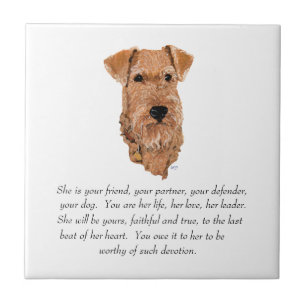 Carreau Garde de Terrier Irlandais - Femelle