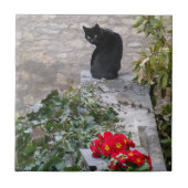 Carreau Garden Cat (Devant)