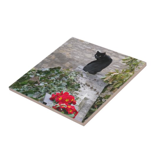 Carreau Garden Cat (Côté)