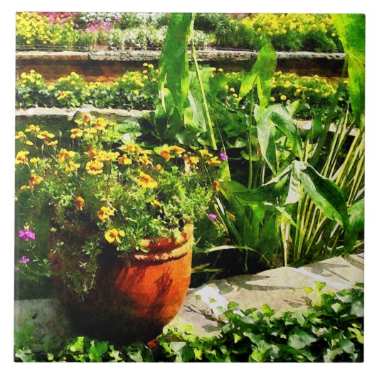 Carreau Garden Pond (Devant)