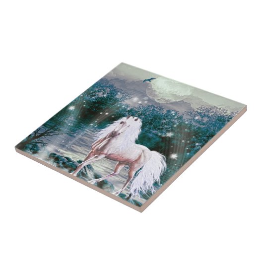 Carreau Gardien de Starlight (Côté)