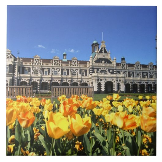 Carreau Gare ferroviaire de Dunedin (Devant)