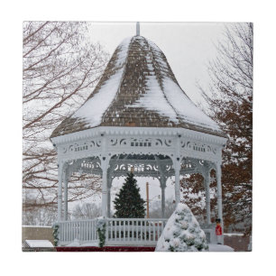 Carreau Gazebo dans la neige