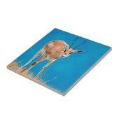 Carreau Gazelle de Grant (Gazella Granti) Ewe Portrait (Côté)