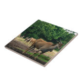 Carreau Gazelle, zoo d'animaux sauvages, 羚. (Côté)