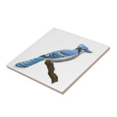 Carreau Geai bleu (Côté)