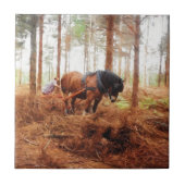 Carreau Géant doux - le transport de cheval de trait ouvre (Devant)