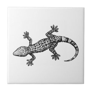 Carreau Gecko