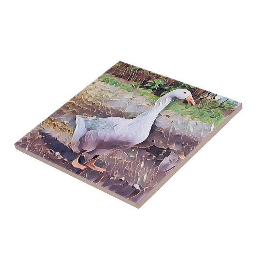 CARREAU GEESE (Côté)