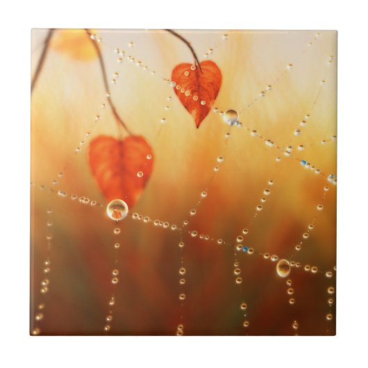 Carreau Gemmes d'un Carrelage décoratif d'automne du matin (Devant)