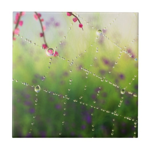 Carreau Gemmes d'un Carrelage du matin du printemps / Triv (Devant)