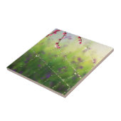 Carreau Gemmes d'un Carrelage du matin du printemps / Triv (Côté)