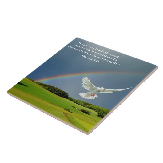 CARREAU GENÈSE 9:13 (Côté)