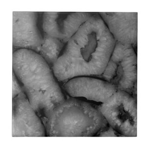 Carreau Géode d'agate de quartz Noir Pierres de gemme blan