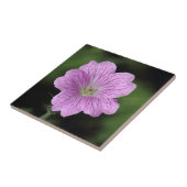 Carreau Geranium Endressii (Côté)