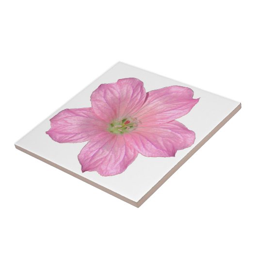 Carreau Géranium rose (Côté)