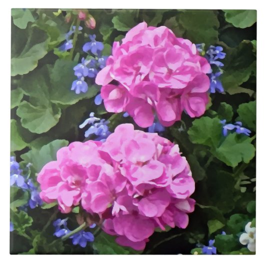 Carreau Géraniums et pervenche (Devant)