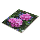 Carreau Géraniums et pervenche (Côté)