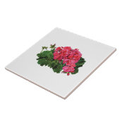 Carreau Géraniums rouges avec boutons (Côté)