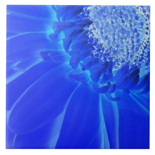 Carreau gerbera bleu électrique (Devant)