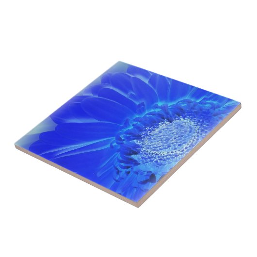 Carreau gerbera bleu électrique (Côté)