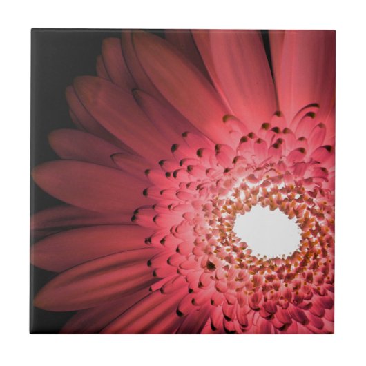 Carreau Gerbera Daisy (Devant)