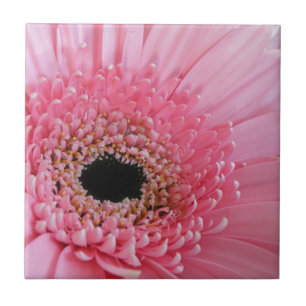Carreau Gerbera marguerite