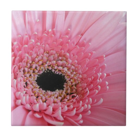 Carreau Gerbera marguerite (Devant)