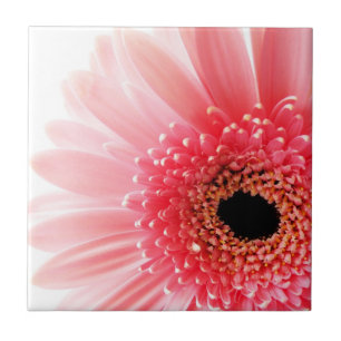 Carreau Gerbera Rose Daisy