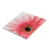 Carreau Gerbera Rose Daisy (Côté)