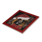 Carreau German Shepherd  (Côté)