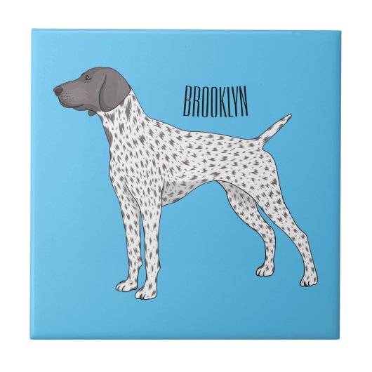 Carreau German Shorthred Pointer dog (Devant)
