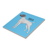 Carreau German Shorthred Pointer dog (Côté)