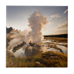 Carreau Geyser de rebord, bassin de geyser de Norris