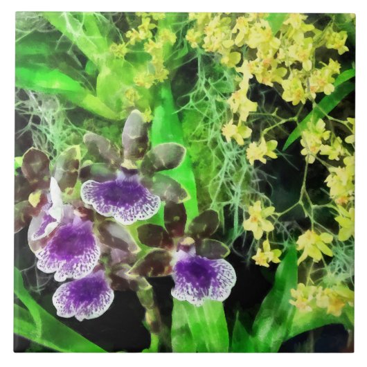 Carreau Geyser Jamie et orchidées d'or d'imaginaire (Devant)