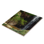 Carreau Ghana : Wli Falls, alias Chutes d'Agumatsa (Volta) (Côté)