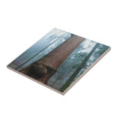 Carreau Giant Sequoia Tree in Grant Grove, CA (Côté)