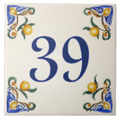 Carreau Giardino dei Limoni – House Number Ceramic Tile (Devant)