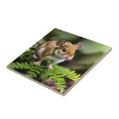 Carreau Ginger Australian Hopping Mouse, (Côté)