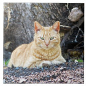 Carreau Ginger Boy (Devant)