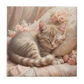 Carreau Ginger Kitten Dormir (Shabby Chic) (Devant)