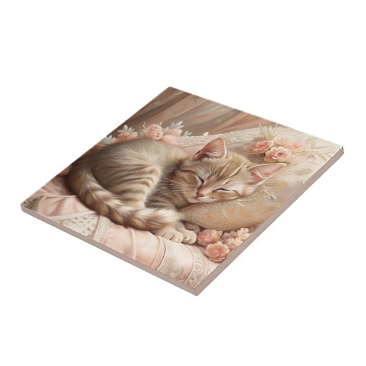 Carreau Ginger Kitten Dormir (Shabby Chic) (Côté)
