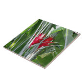 Carreau Ginger rouge (Côté)