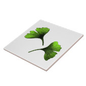 Carreau Ginkgo Biloba Art Botanique Feuille (Côté)