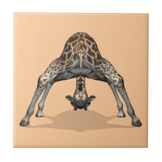 Carreau Girafe flexible (Devant)